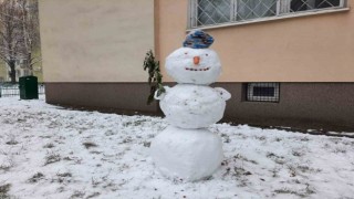 Polonyada termometreler eksi 25i gördü