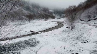 Sakaryanın yüksek kesimleri beyaza büründü