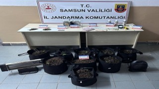 Samsunda silahlı terör örgütüne üye 9 şahıs ile aranması bulunan 510 şahıs yakalandı