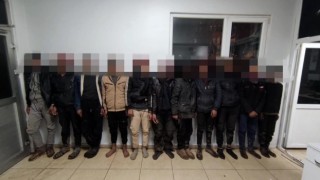 Şanlıurfada göçmen kaçakçılığı operasyonu: 9 tutuklama