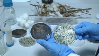 Şanlıurfada öğrencilerden ödüllü çevre dostu projesi