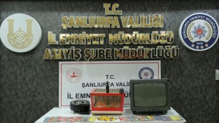 Şanlıurfada tombala baskını