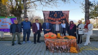 Seydikemerde C vitamini etkinliği