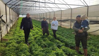 Simavda seralarda kontrol ve örtü altı kayıt güncelleme işlemleri