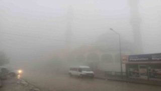 Sincik ilçesinde yoğun sis etkili oldu