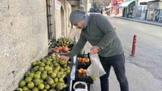 Sinopta kış armudunun kilosu 50 liradan satılıyor