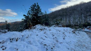 Sinopta yüksek kesimlerde kar yağışı etkili oldu