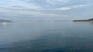 Sis nedeniyle Lapseki-Gelibolu hattındaki feribot seferleri geçici olarak durduruldu