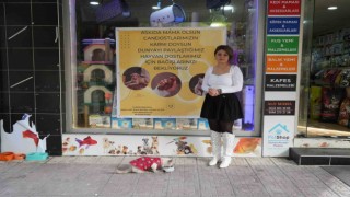 Sokak hayvanları için Askıda mama kampanyası