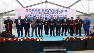 Sokak hayvanlarına geçici bakımevi hizmete açıldı