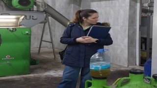 Sökede zeytinyağı işletmeleri denetlendi