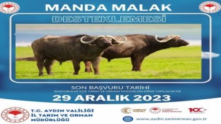 Tarım Müdürlüğünden Manda desteği açıklaması