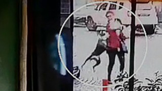 Tekirdağda pitbull dehşeti kamerada: Hem ona hem de köpeğine saldırdı