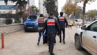 Terör örgütüne kuryelik yapan 2 şahıs tutuklandı