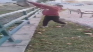 TikTokta paylaşmak için kediyi ırmağa atmışlardı, gözaltına alındılar