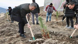 Tokat Belediyesi 10 yılda 260 bin fidanı toprakla buluşturdu