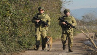 TSKnın devriye köpekleri birliklerin emniyetine destek sağlıyor