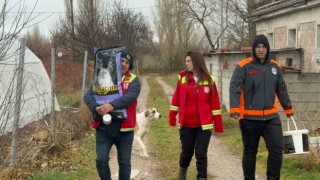 Türkuaz Arama Kurtarma Gönüllülerinden örnek davranış