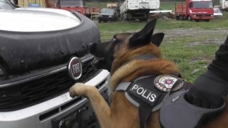 Uyuşturucu Tacirlerinin Kabusu “Poyraz”