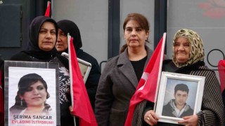 Van annelerinin evlat nöbetine bir aile daha katıldı