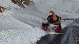 Van Bahçesaray yoluna düşen çığ bölgeleri temizleniyor