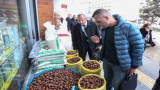 Vanda ‘Çin kestanesi denetimi