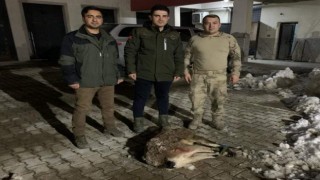 Vanda yaban keçisi avlayan 2 kişiye 314 bin 576 lira idari para cezası kesildi