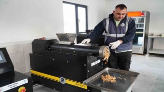 Yalova Altınovada yemek atıkları sokak hayvanlarına mama oluyor