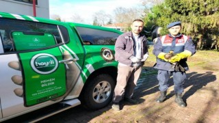 Yaralı kuşun imdadına jandarma yetişti