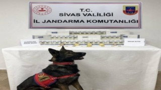 Yolcu otobüsünden külçe külçe altın çıktı
