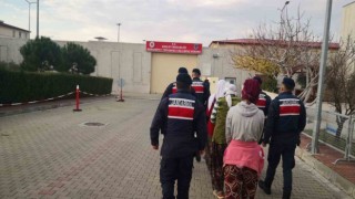 Zeytin hırsızları jandarma tarafından suçüstü yakalandı