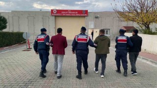 Zeytin hırsızlığı iddiasıyla adliyeye sevk edilen zanlı: “Paşa paşa yatarız”
