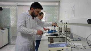 Zeytinin verimliliği için toprak analizleri başladı
