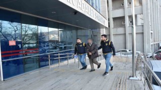 Zonguldakta fuhuş operasyonu: 1 tutuklu