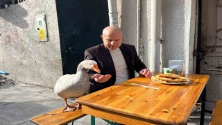 12 yıllık kazı ile Eskişehiri gezdi, çi börek yedi