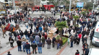 19. Burhaniye Zeytin Ve Zeytinyağı Hasat Festivali başladı