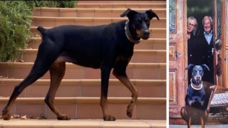 200 gündür haber alınamayan Korhan Berzegin araçla kaçırıldığı iddia ediliyor