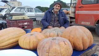 71 yaşında ekmeğinin peşinde