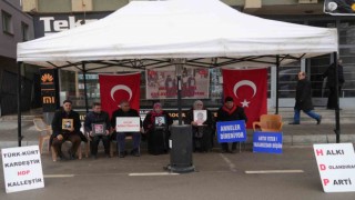 Acılı anne: “Yeni yıla girdik ama ciğerimiz yanık, evlatlarımız yok”