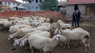 Acıpayamın 11 mahallesi çiçek karantinasına alındı