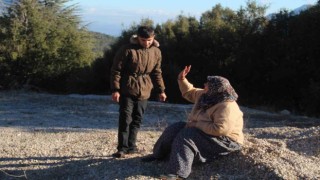 Ağaçların şarampole uçmaktan kurtardığı otobüs şoförüne yaşlı yolcudan moral