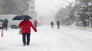 Ahlatta kar yağışı