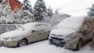 Ahlatta yoğun kar yağışı