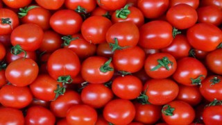 Ankaralılar 2023 yılında en çok domates ve karpuz tüketti