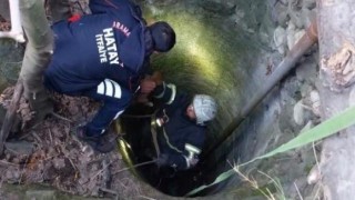 Arsuzda kuyuya düşen yavru köpeği itfaiye kurtardı
