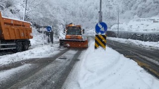 Artvinde kar yağışı Hopa-Borçka karayolunu olumsuz etkiledi