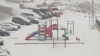 Aşkalede kar yağışı etkili oluyor