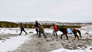 At sırtında yaban hayvanları için doğaya yem bırakıldı