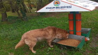 Atakumda patili dostlara destek