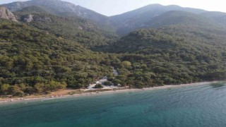 Aydında 1 yılda 20 bin gelir getirici fidan toprakla buluştu